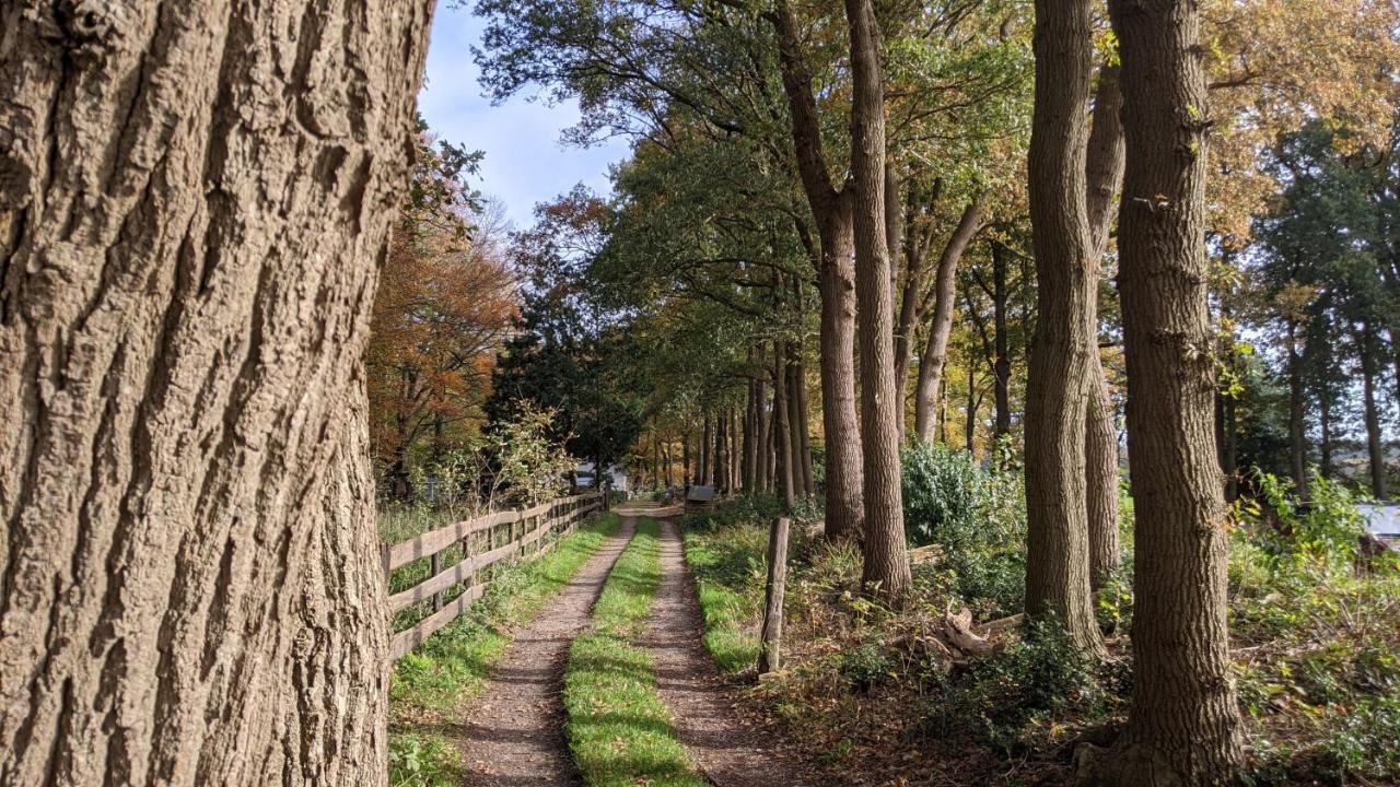 Chalet Op De Veluwe # Berk Putten Dış mekan fotoğraf