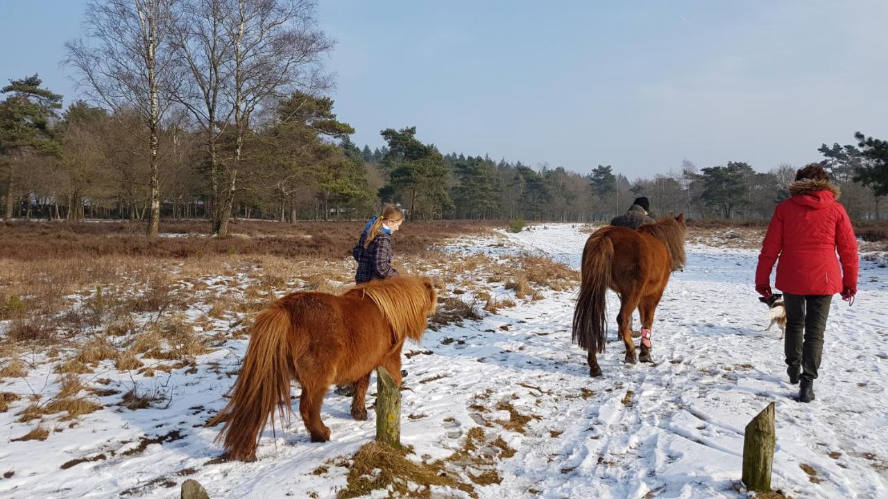 Chalet Op De Veluwe # Berk Putten Dış mekan fotoğraf
