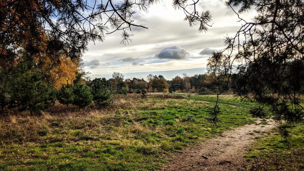 Chalet Op De Veluwe # Berk Putten Dış mekan fotoğraf