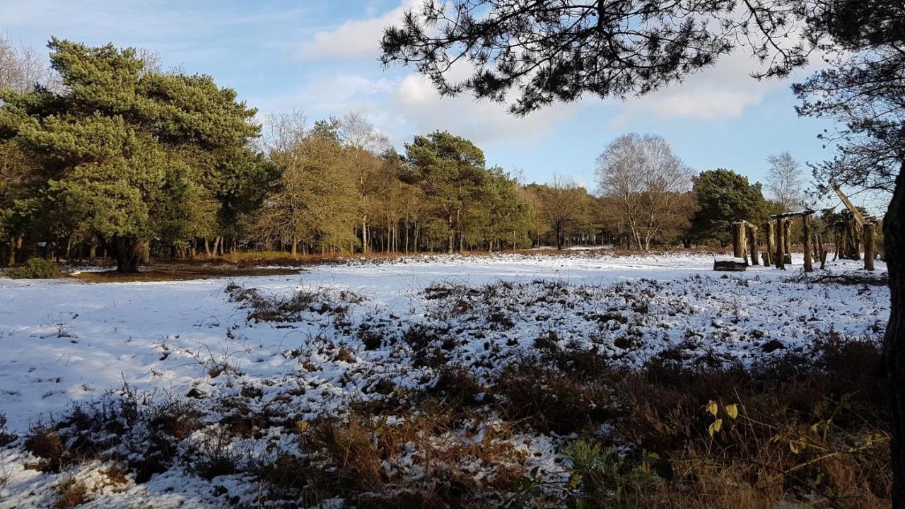 Chalet Op De Veluwe # Berk Putten Dış mekan fotoğraf