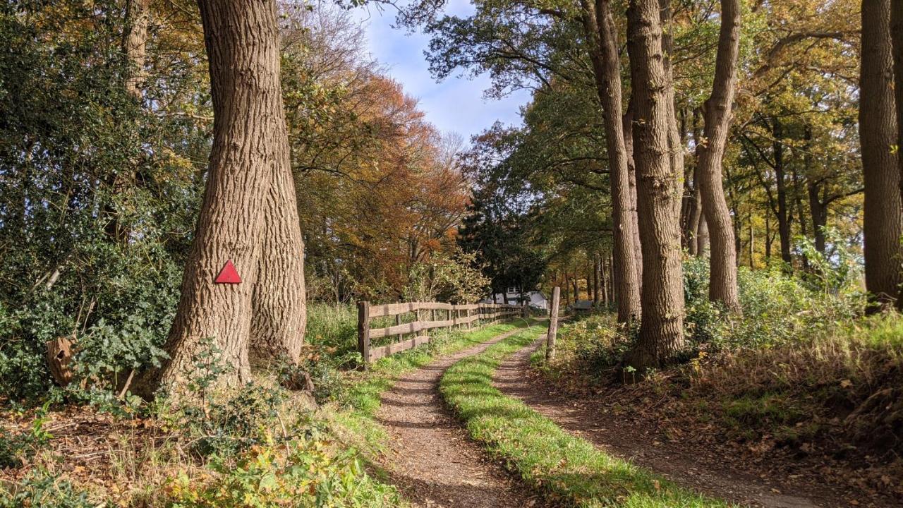 Chalet Op De Veluwe # Berk Putten Dış mekan fotoğraf